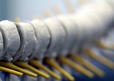 Kaakfysiotherapie bij klachten van kaak, hoofd, nek en aangezicht in Leiden en Sassenheim