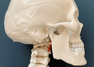 Kaakfysiotherapie bij klachten van kaak, hoofd, nek en aangezicht in Leiden en Sassenheim