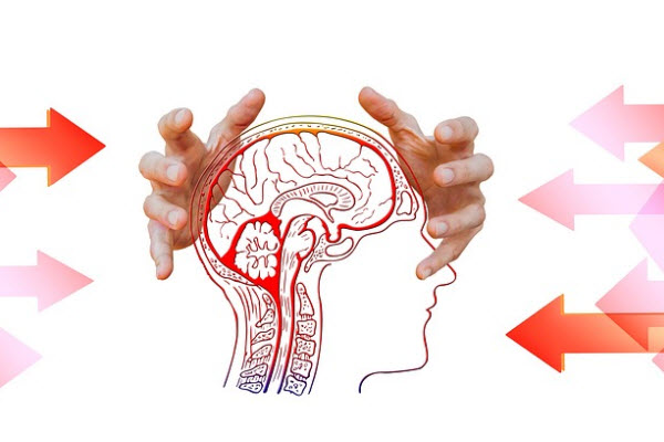 Het effect van stress op de hersenen